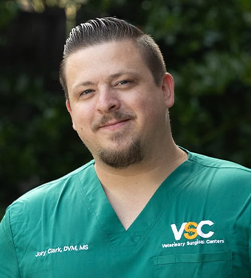 Dr. Jory Clark, Vienna Veterinary Surgeon