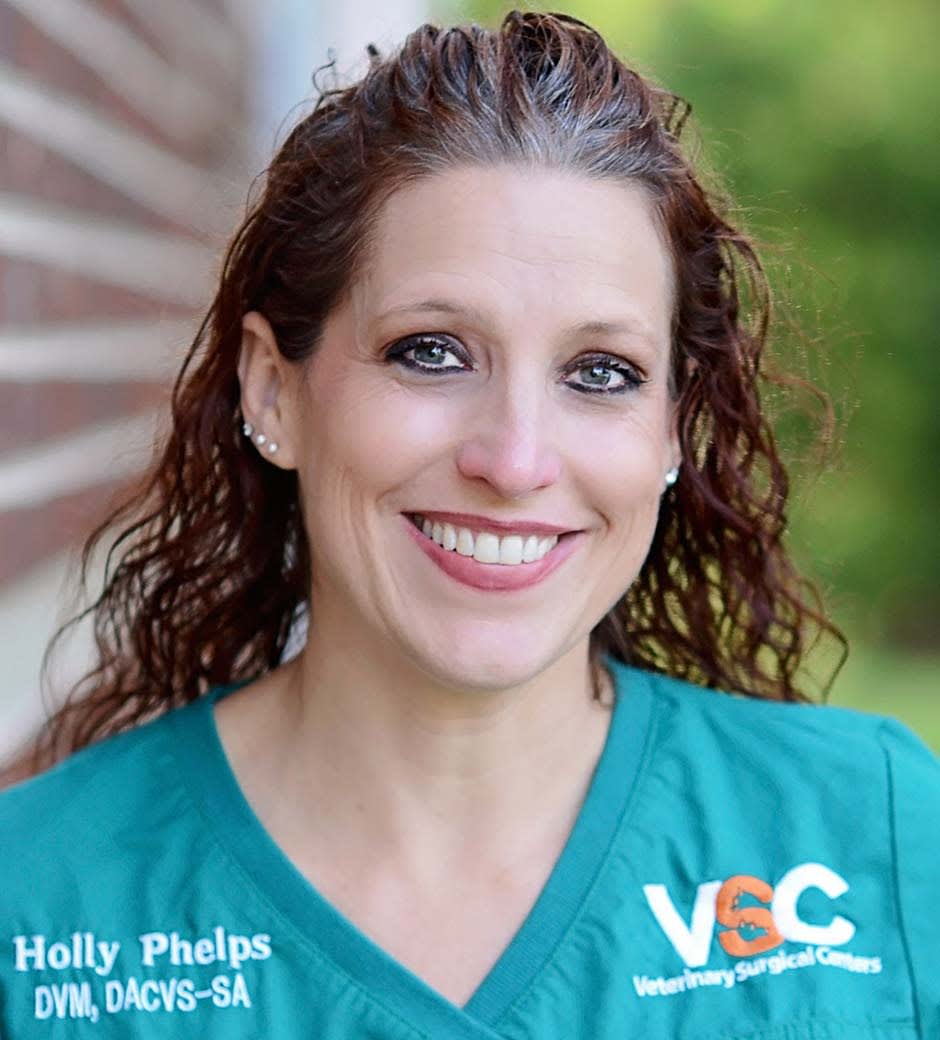 Dr. Holly Phelps, Vienna Veterinary Surgeon