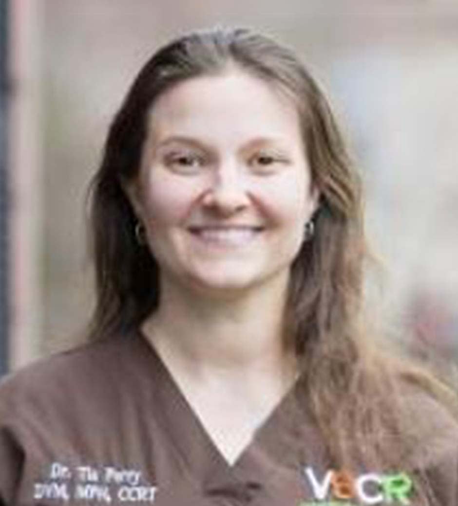 Dr. Tia Perry, Vienna Canine Rehabilitation Therapist